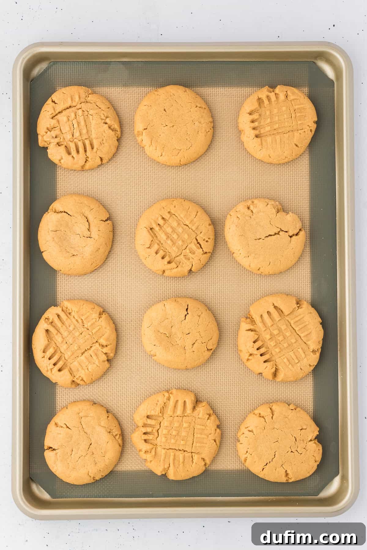 gluten free peanut butter cookies freshly baked on a lined baking sheet