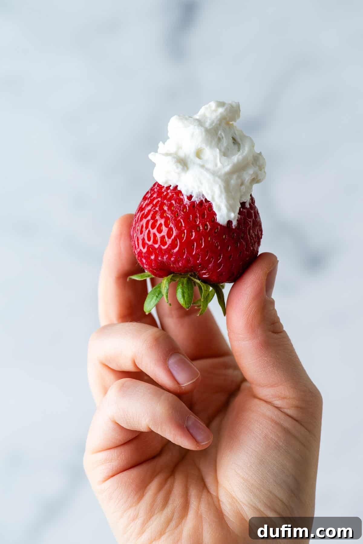 A hand holding a fresh strawberry dipped in a generous dollop of stabilized whipped cream, ready to be enjoyed.