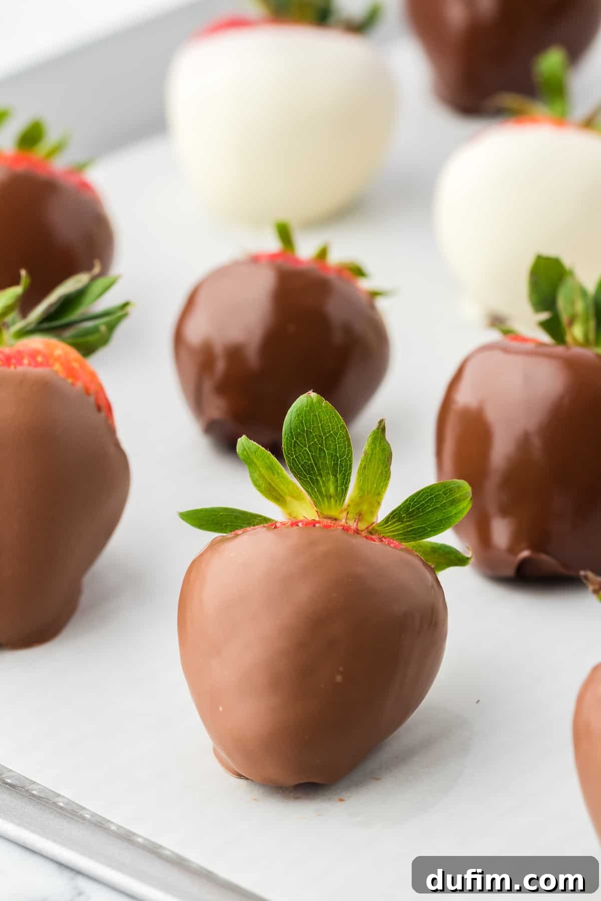 Irresistible Chocolate Dipped Strawberries 12 Freshly made chocolate covered strawberries drying on a baking sheet lined with parchment paper, illustrating the setting process.