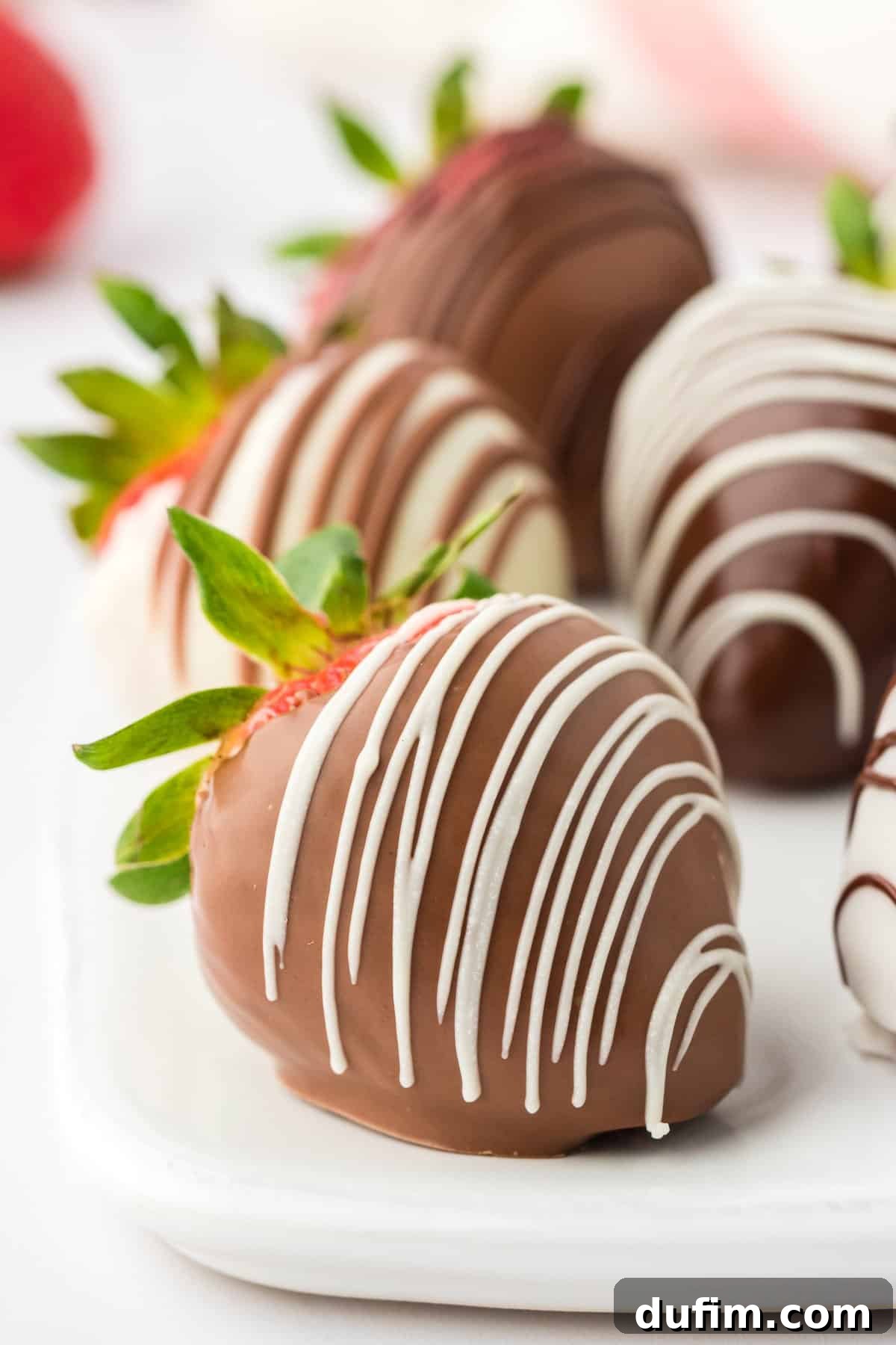 Irresistible Chocolate Dipped Strawberries 13 Perfectly presented chocolate covered strawberries on a pristine white plate, ready to be served as an elegant dessert.