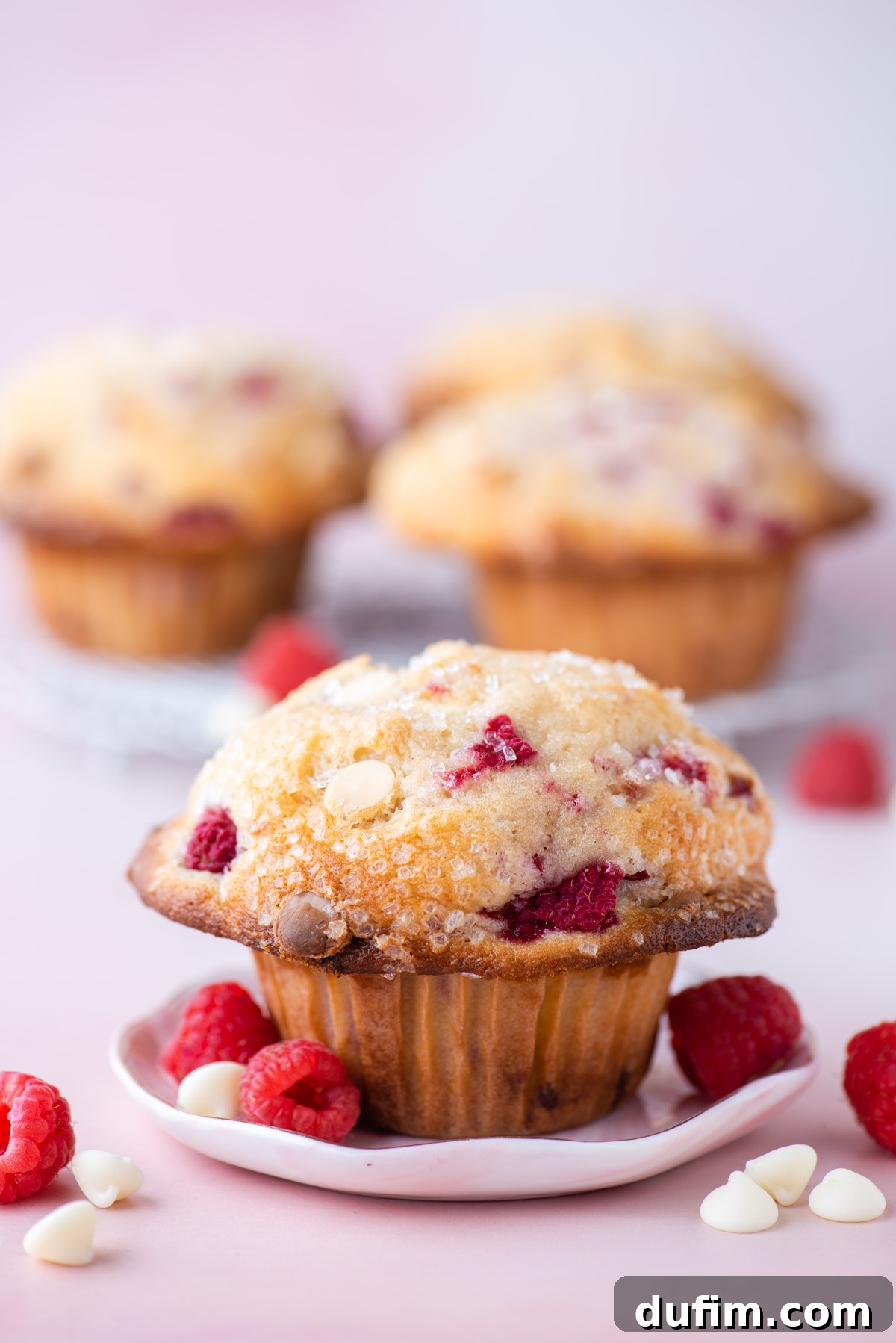 Decadent Raspberry White Chocolate Muffins 3 A single, perfectly baked raspberry white chocolate chip muffin sits elegantly on a small white plate, placed on a cheerful pink surface. More muffins subtly blur in the background, while fresh raspberries and white chocolate chips are playfully scattered around, hinting at the delicious ingredients within.