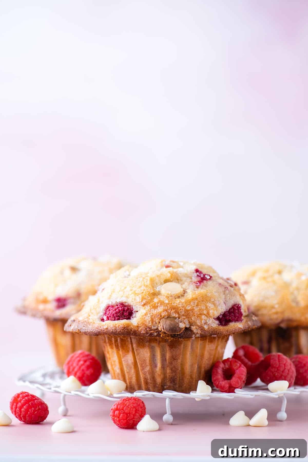Decadent Raspberry White Chocolate Muffins 7 A trio of freshly baked raspberry white chocolate chip muffins sits proudly on a white wire rack, allowing air to circulate for perfect cooling. They are surrounded by a scattering of fresh, vibrant raspberries and delicate white chocolate chips, all resting on a soft pink surface.