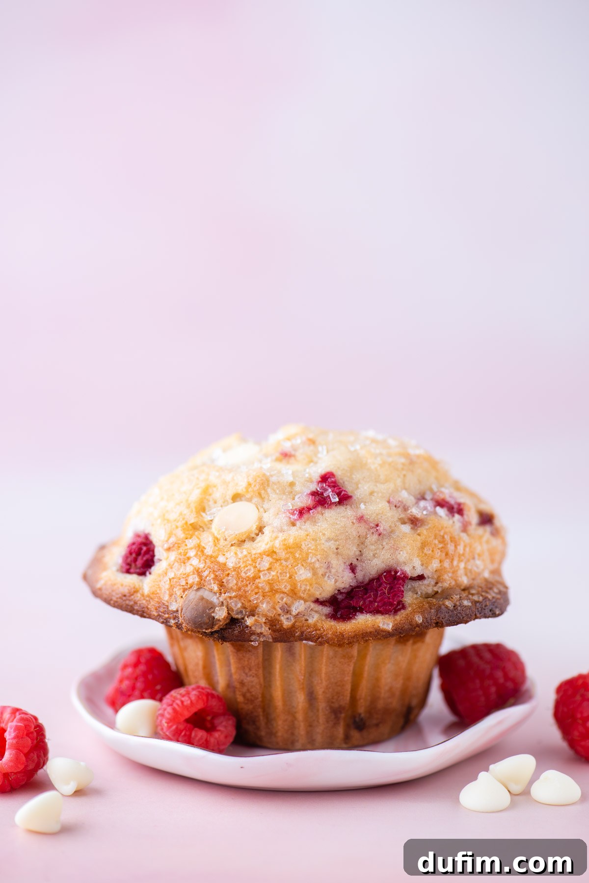 Decadent Raspberry White Chocolate Muffins 8 A single, delectable raspberry white chocolate chip muffin, perfectly golden, rests on a small white plate. Fresh, vibrant raspberries and creamy white chocolate chips are artfully scattered around, creating an inviting tableau on a soft pink surface.