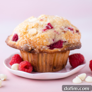 Decadent Raspberry White Chocolate Muffins 9 A raspberry white chocolate chip muffin on a white plate against a pink background, surrounded by fresh raspberries and white chocolate chips, tempting and ready to be enjoyed.