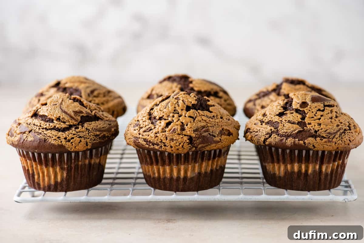 A perfect row of freshly baked chocolate peanut butter muffins arranged on a cooling rack, highlighting their beautifully golden-brown and domed tops.