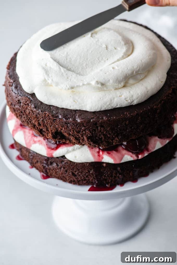 Decadent Black Forest Cherry Torte 11 black forest cake on a white cake stand with a layer of chocolate cake, whipped cream, cherries, more chocolate cake and whipped cream being spread on top