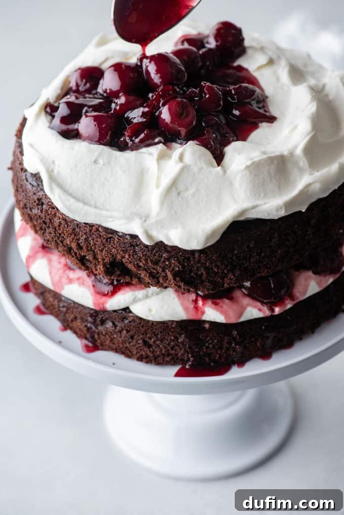 Decadent Black Forest Cherry Torte 12 black forest cake on a white cake stand with a layer of chocolate cake, whipped cream, cherries, more chocolate cake, more whipped cream and cherries being added on top