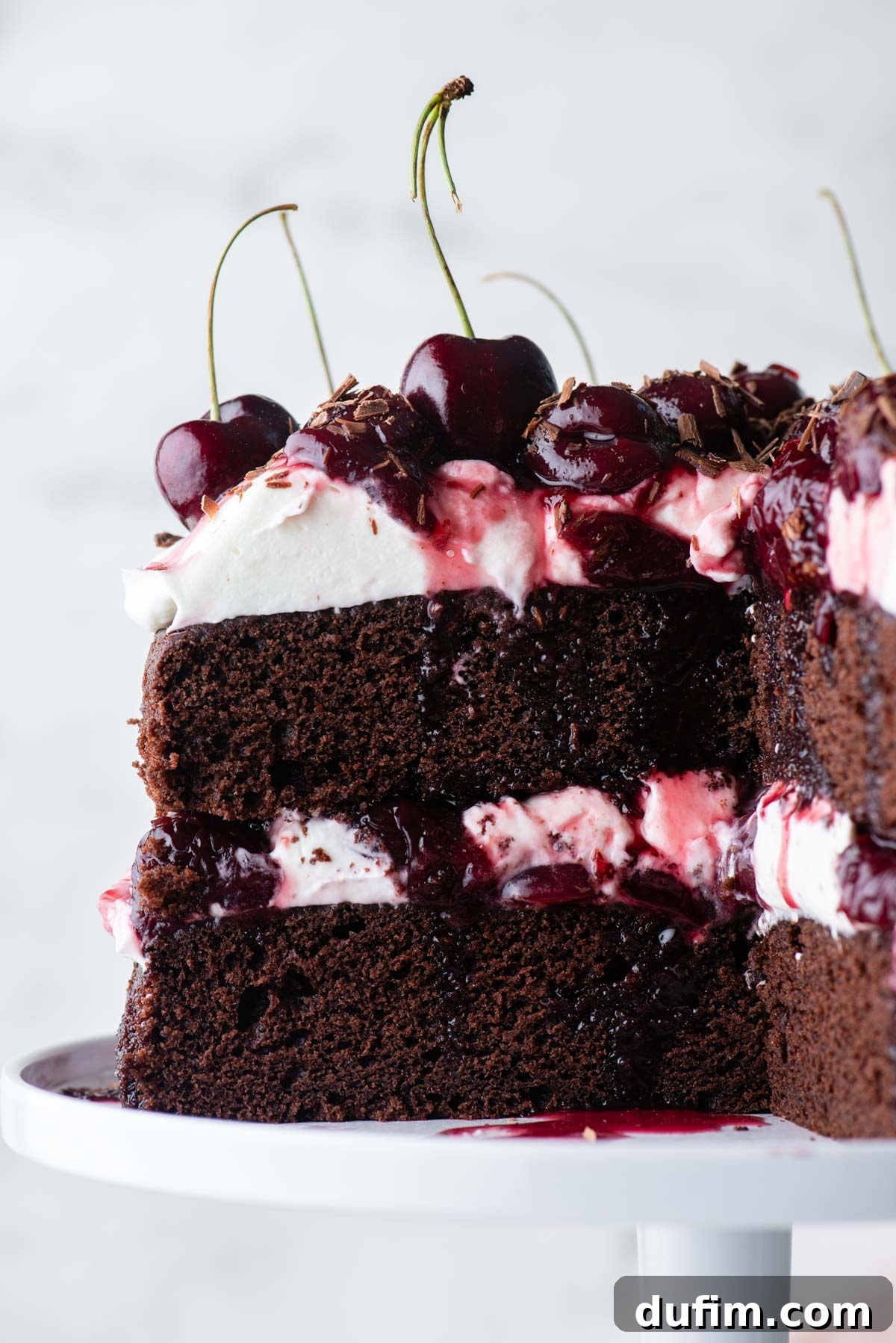 Decadent Black Forest Cherry Torte 6 close up of a black forest cake with a large slice cut out, showing the layers of cake, whipped cream and cherry filling