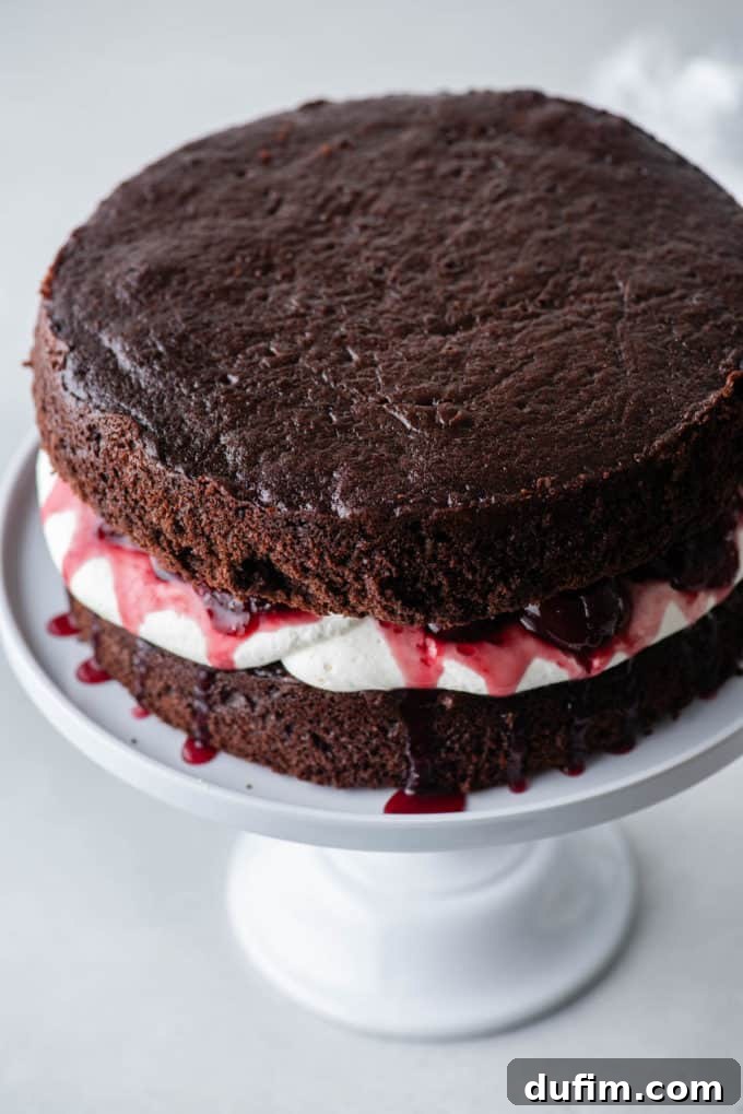 Decadent Black Forest Cherry Torte 10 one layer of chocolate cake on a white cake stand with stabilized whipped cream on top and a cherry filling on top of it, with another layer of chocolate cake on top of that