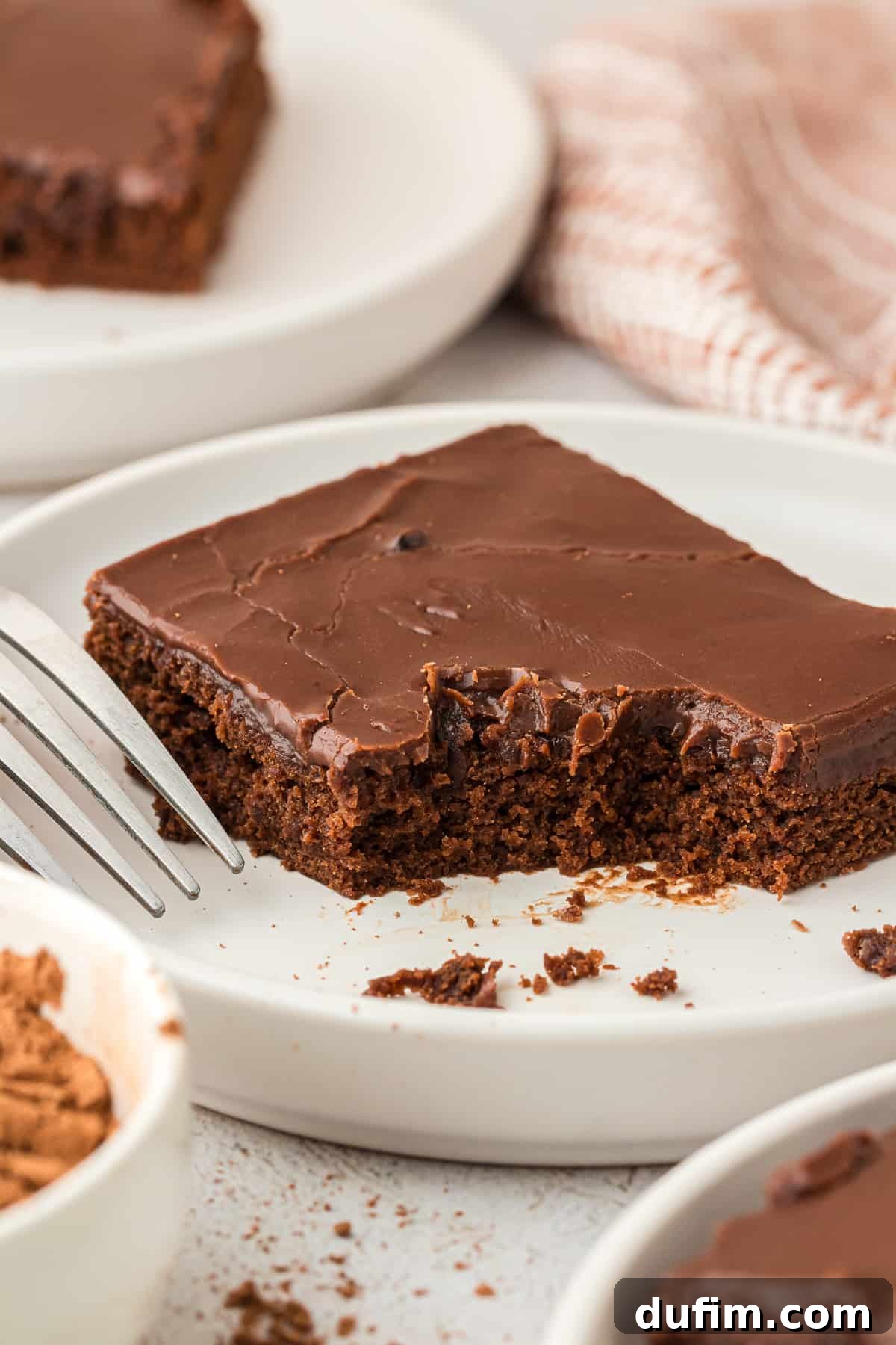 A perfectly sliced piece of Texas Sheet Cake on a white plate with a fork, showing its moist texture and shiny chocolate frosting. More cake slices are visible in the background.