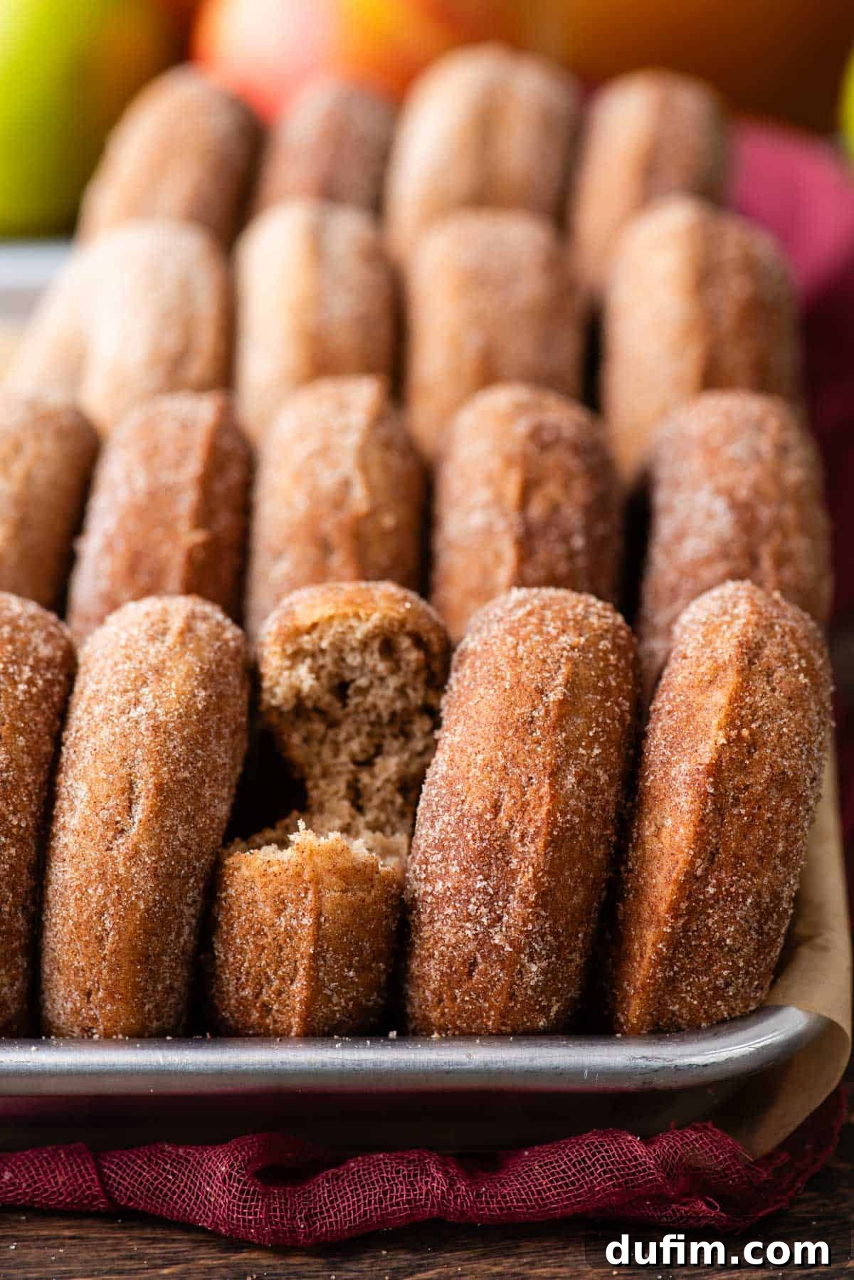 A close-up view of a baking sheet generously filled with perfectly baked apple cider donuts, neatly lined up on their sides. One donut in the foreground reveals a small bite taken out, inviting viewers to experience its delicious texture and flavor.