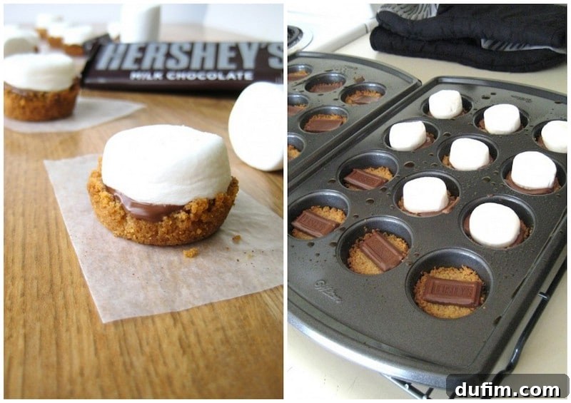 Irresistible S'mores Bites with Toasted Marshmallows, Chocolate, and Graham Crackers