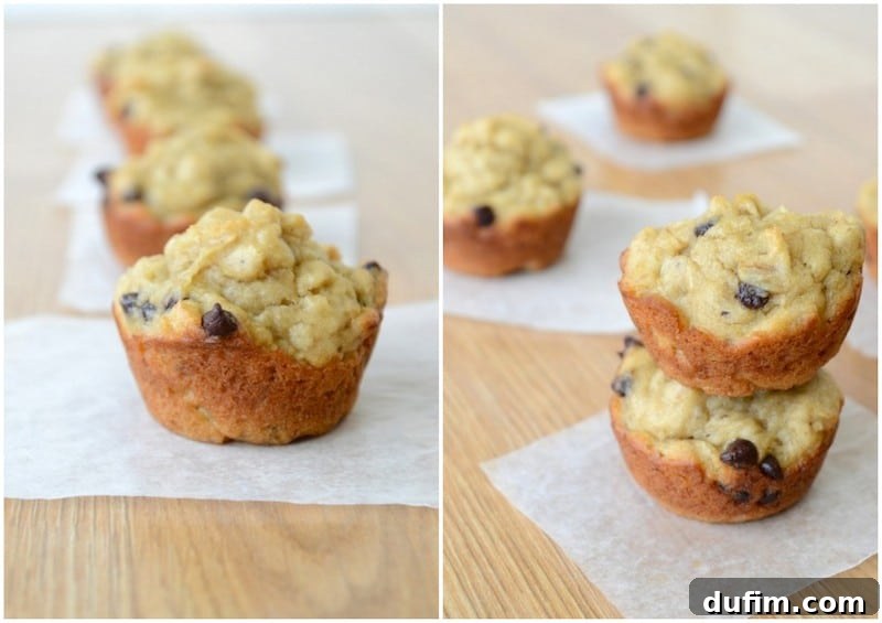 Healthy Peanut Butter Banana Chocolate Chip Oatmeal Muffins with Oats