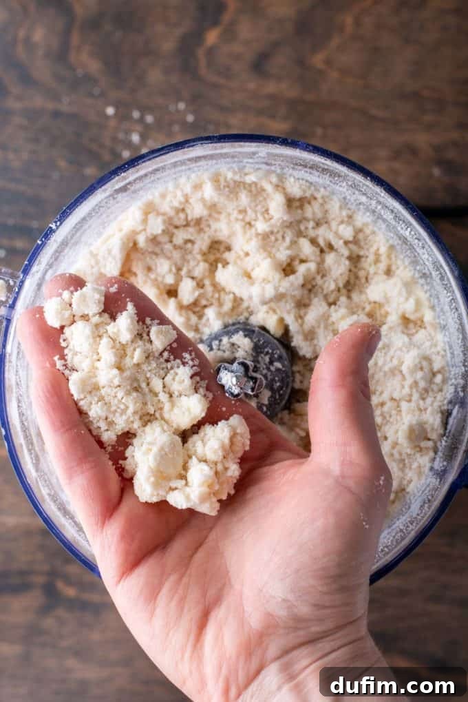 Crumbly gluten-free pie crust dough mixed in a food processor, with a hand holding up some of the mixture to show its coarse texture.