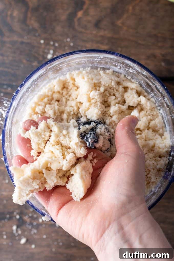 Gluten-free pie crust dough mixed in a food processor, with a hand holding up a clump to demonstrate the ideal consistency before shaping.