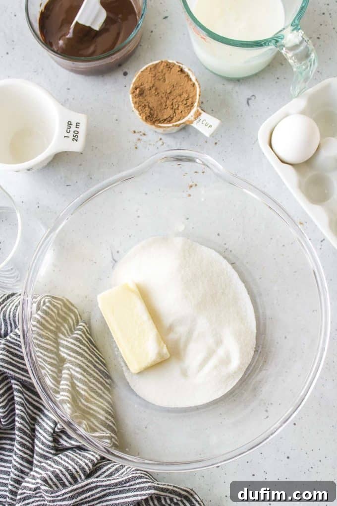 Butter and sugar in a glass bowl, surrounded by a black and white striped towel, an egg, milk, cocoa powder, measuring cup, and melted chocolate in a glass dish – ingredients ready for mixing the German chocolate cake batter.