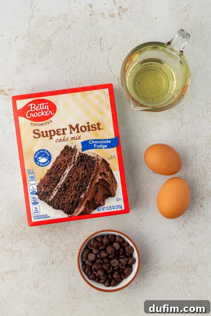 Ingredients for rich double chocolate cake mix cookies: a box of chocolate cake mix, a bowl overflowing with chocolate chips, two fresh eggs, and golden vegetable oil, prepared for mixing.