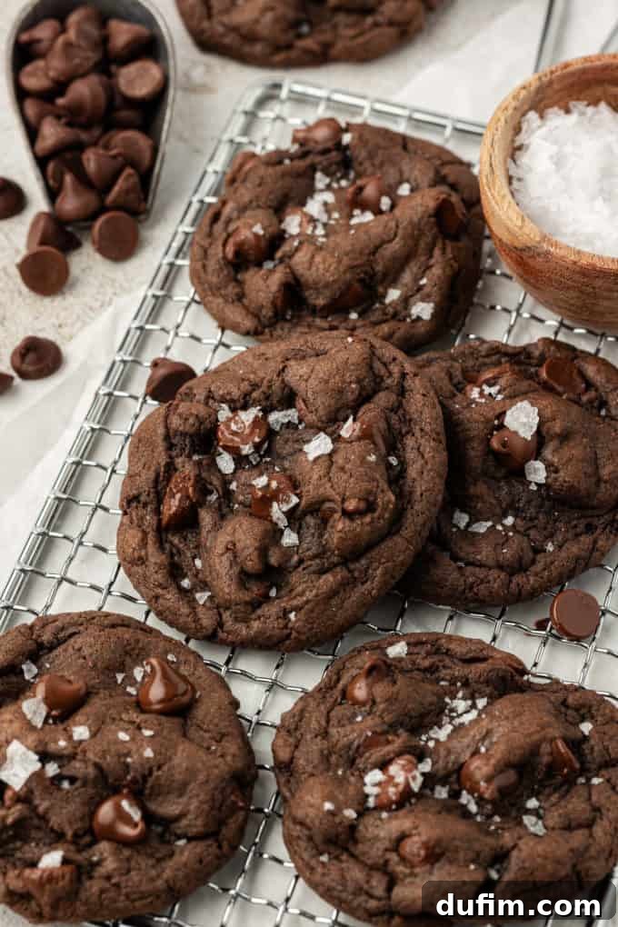 Warm double chocolate cake mix cookies cooling on a wire rack, with extra chocolate chips sprinkled around and a small wooden bowl of sea salt, enhancing their rich flavor.
