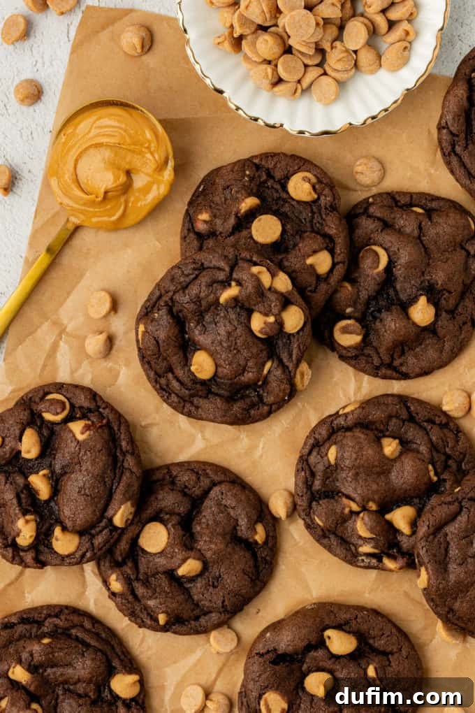 Scrumptious chocolate peanut butter cake mix cookies arranged on brown paper, accompanied by a spoonful of peanut butter, a white bowl filled with peanut butter chips, and extra chips sprinkled around, highlighting their flavor.