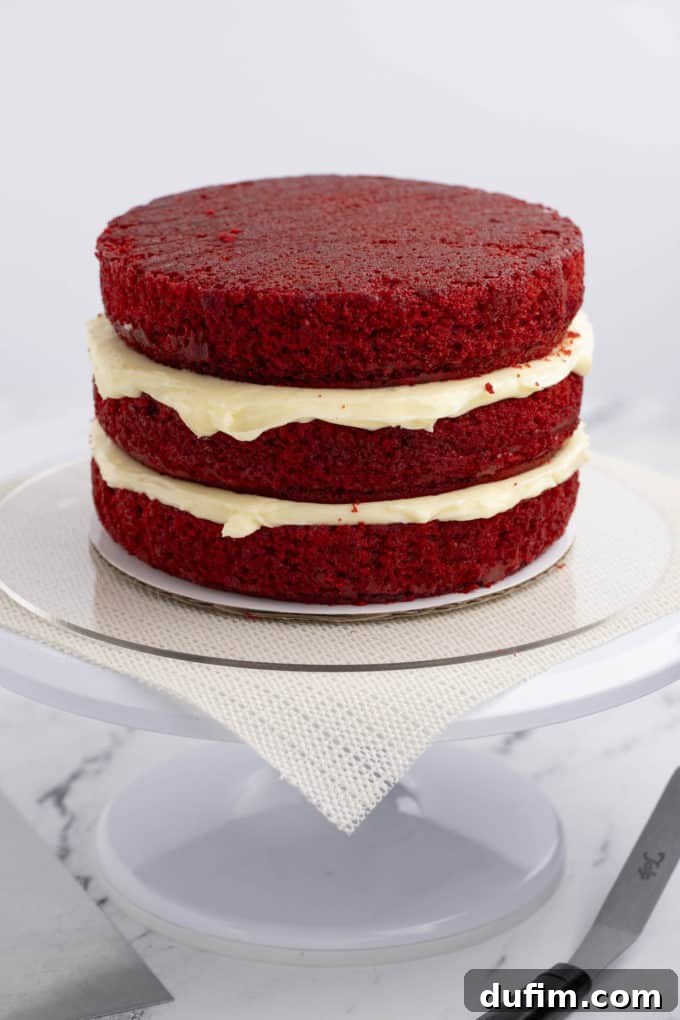 Homemade Red Velvet Cake Perfection 19 Three perfectly stacked layers of vibrant red velvet cake, each separated by a thick layer of creamy white cream cheese frosting, stand tall on a white cake stand, ready for final frosting.