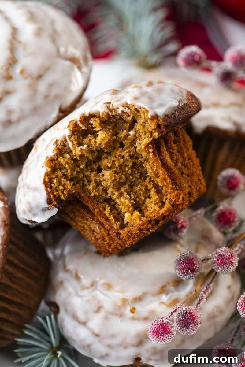 A delectable gingerbread muffin, with a tempting bite removed, rests among sugared red berries, showcasing its moist interior and inviting texture.