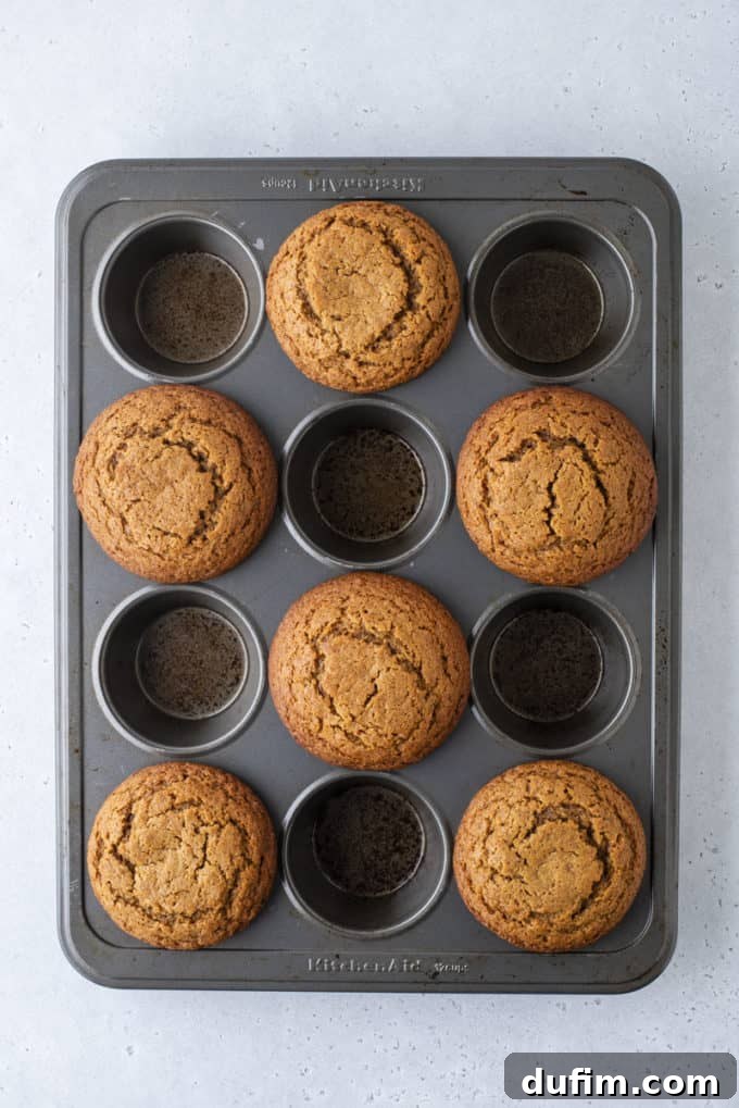 Freshly baked gingerbread muffins with golden-brown, domed tops, cooling in the muffin pan.