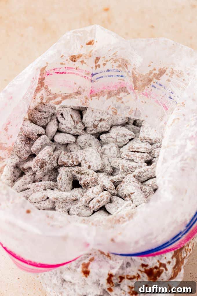 chex cereal coated in a chocolate mixture and powdered sugar in a large ziploc bag