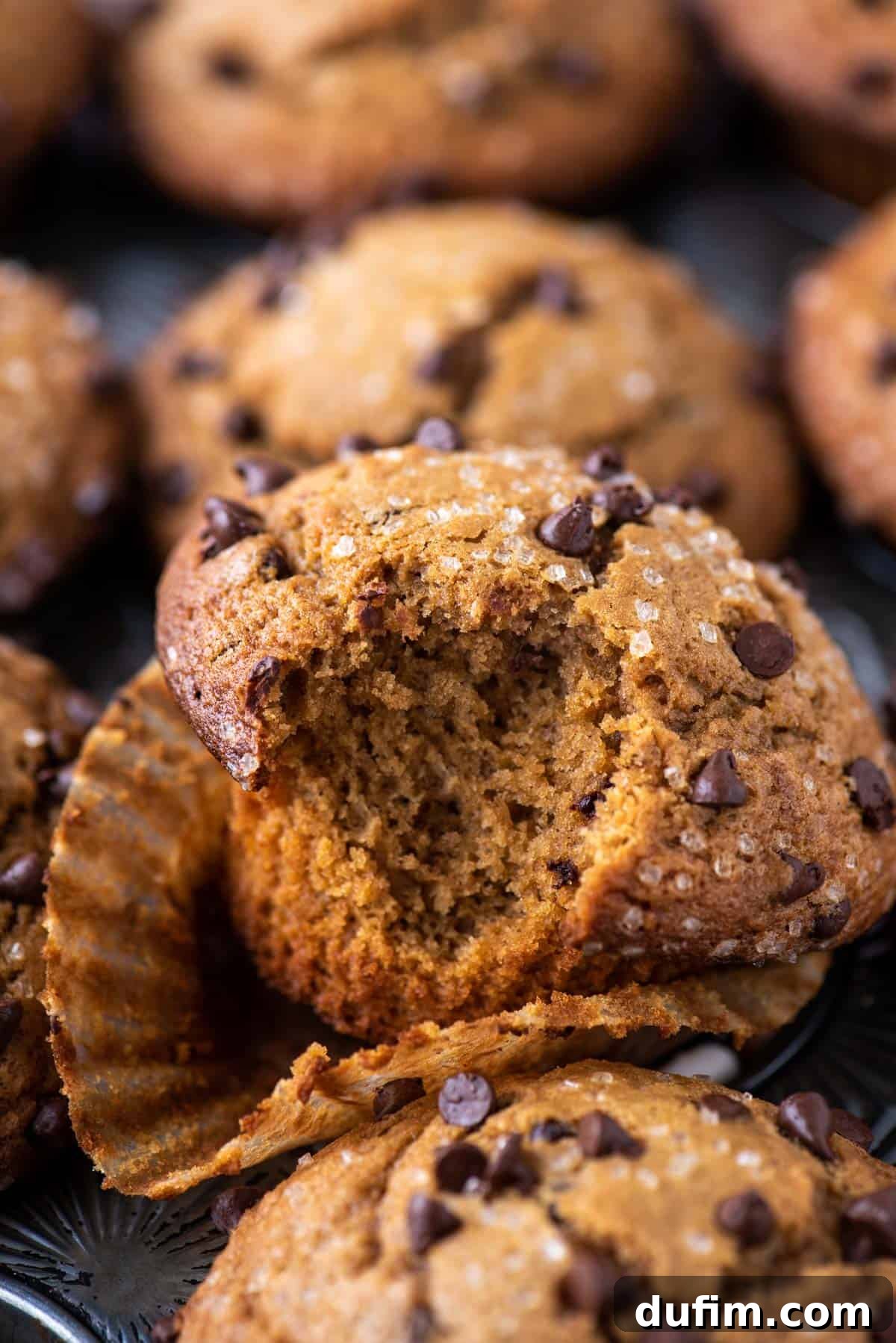 Café Mocha Chip Muffins 3 A single cappuccino chip muffin with a bite taken out, resting in its liner on a muffin pan filled with more muffins.