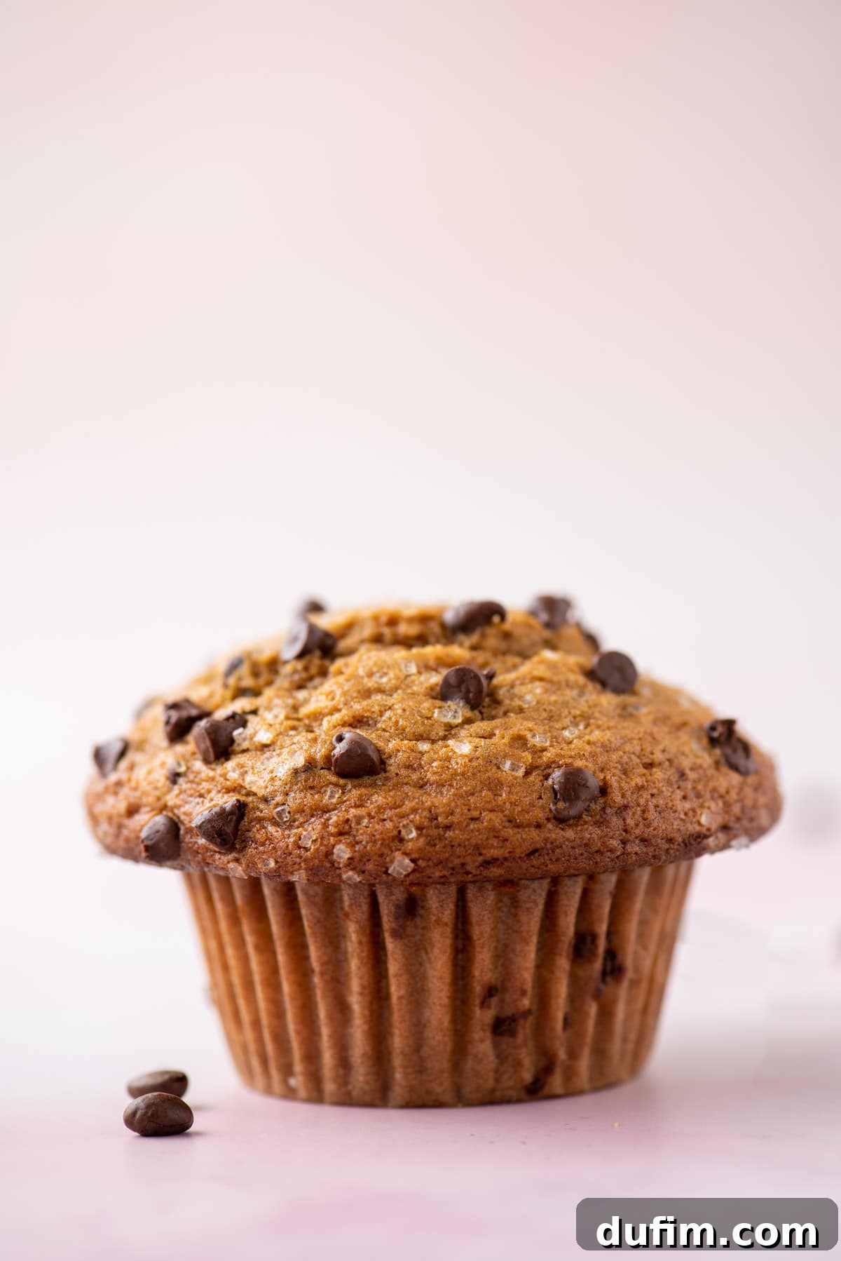 Café Mocha Chip Muffins 7 A beautifully baked cappuccino chip muffin sits alone on a clean white and light pink surface, highlighting its perfect dome and texture.