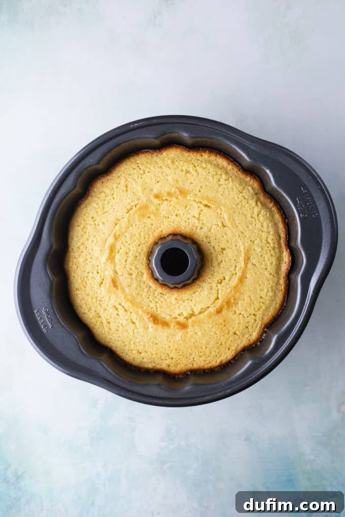 An overhead view of a golden-brown lemon bundt cake, still nestled within its pan, sitting on a light blue surface shortly after being removed from the oven.