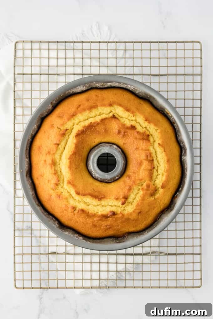 freshly baked bundt cake in a bundt pan sitting on a wire rack