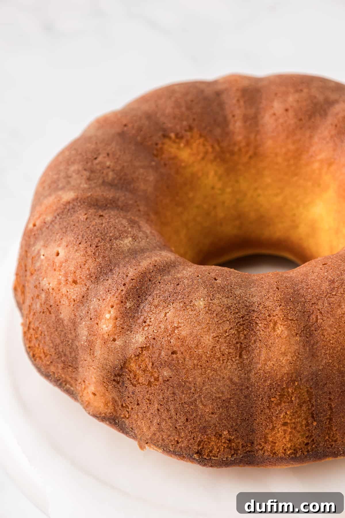 a plain vanilla bundt cake on a white service