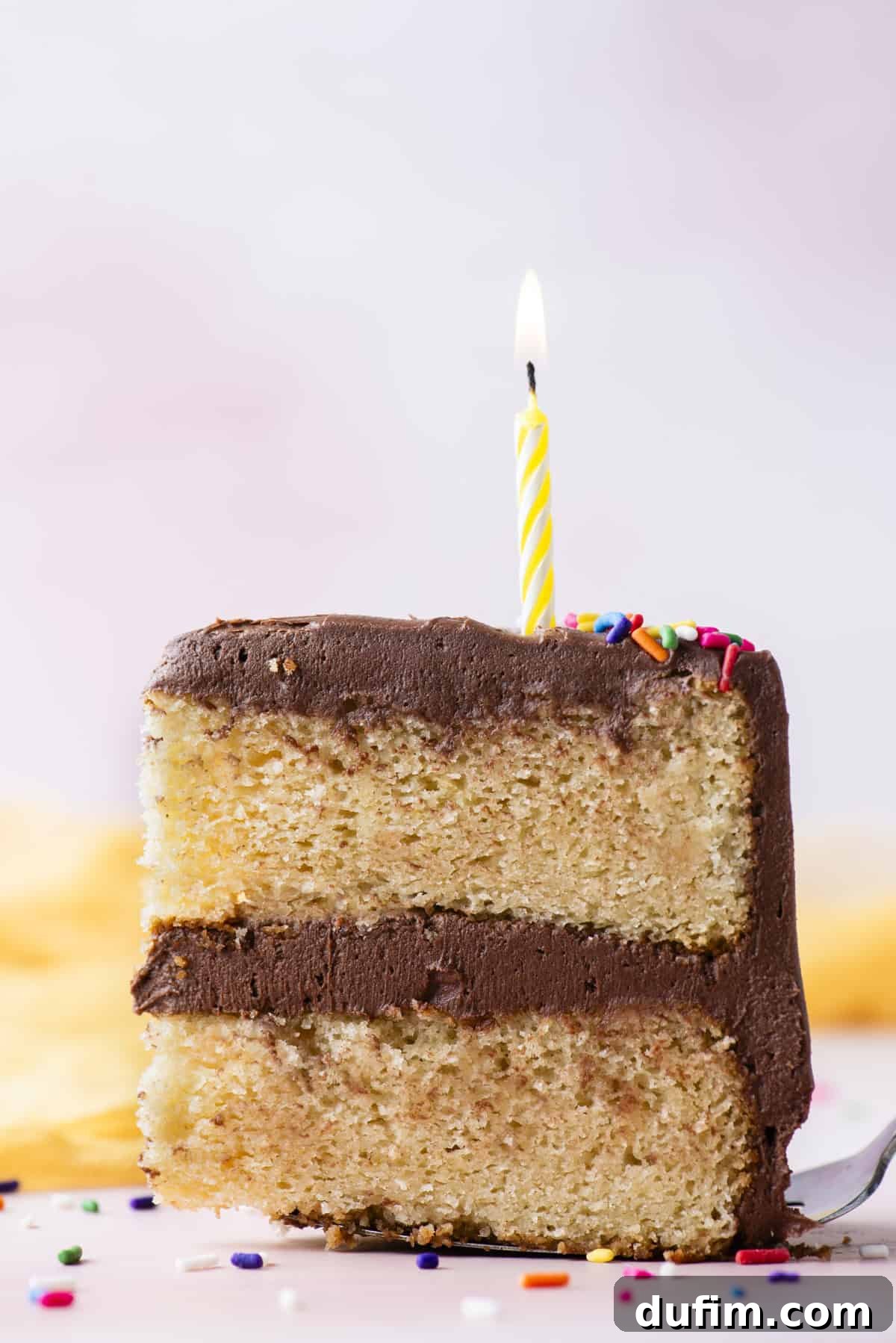 A close-up side view of a slice of two-layer gluten-free birthday cake, held delicately on a fork. The visible layers of cake and chocolate frosting are topped with a single birthday candle and festive rainbow sprinkles scattered nearby, capturing a moment of celebration.
