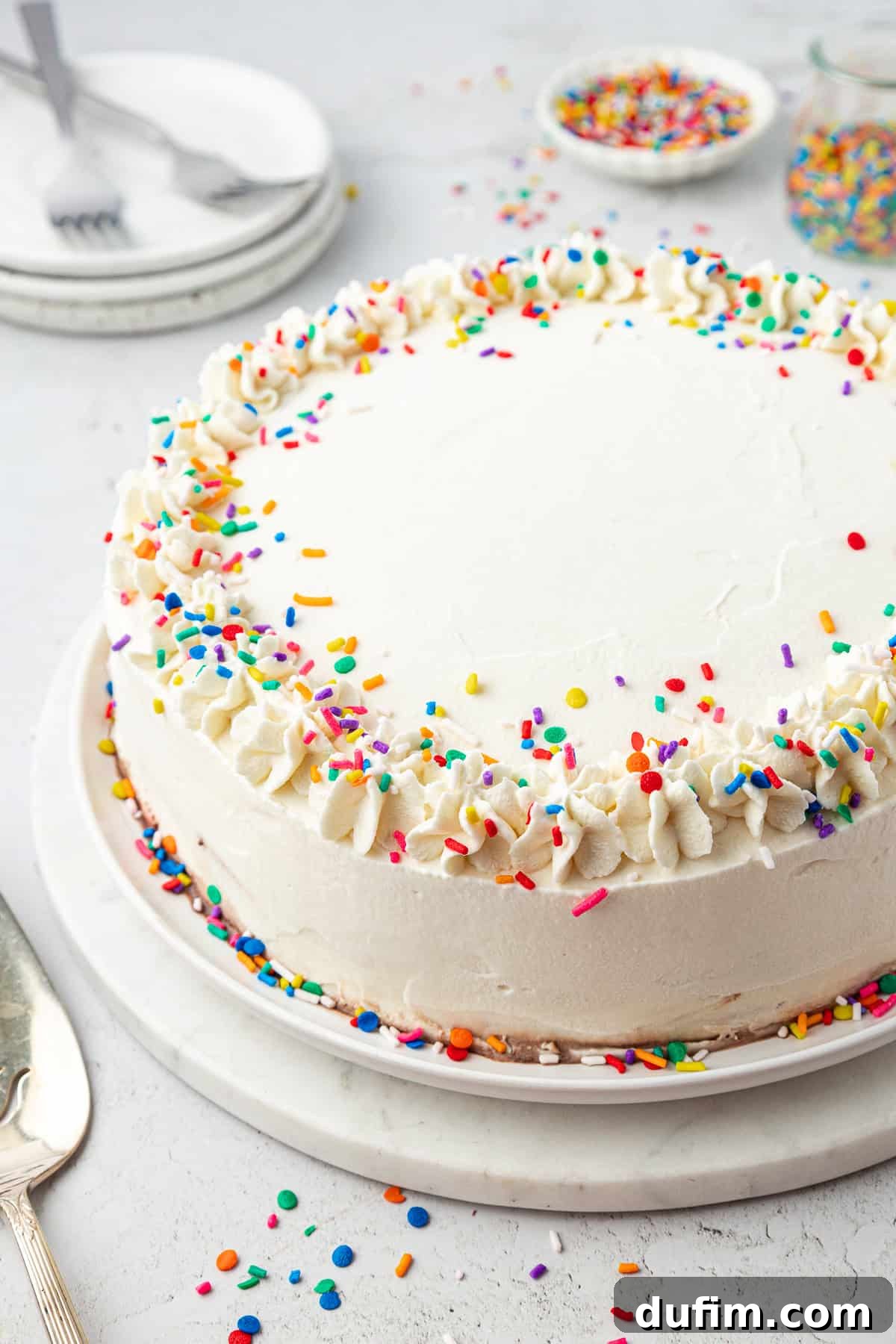 A stunning slice of homemade ice cream cake on a white plate, adorned with colorful sprinkles, with the full cake and additional plates in the blurred background. A small white dish and a jar of sprinkles complete the festive scene.