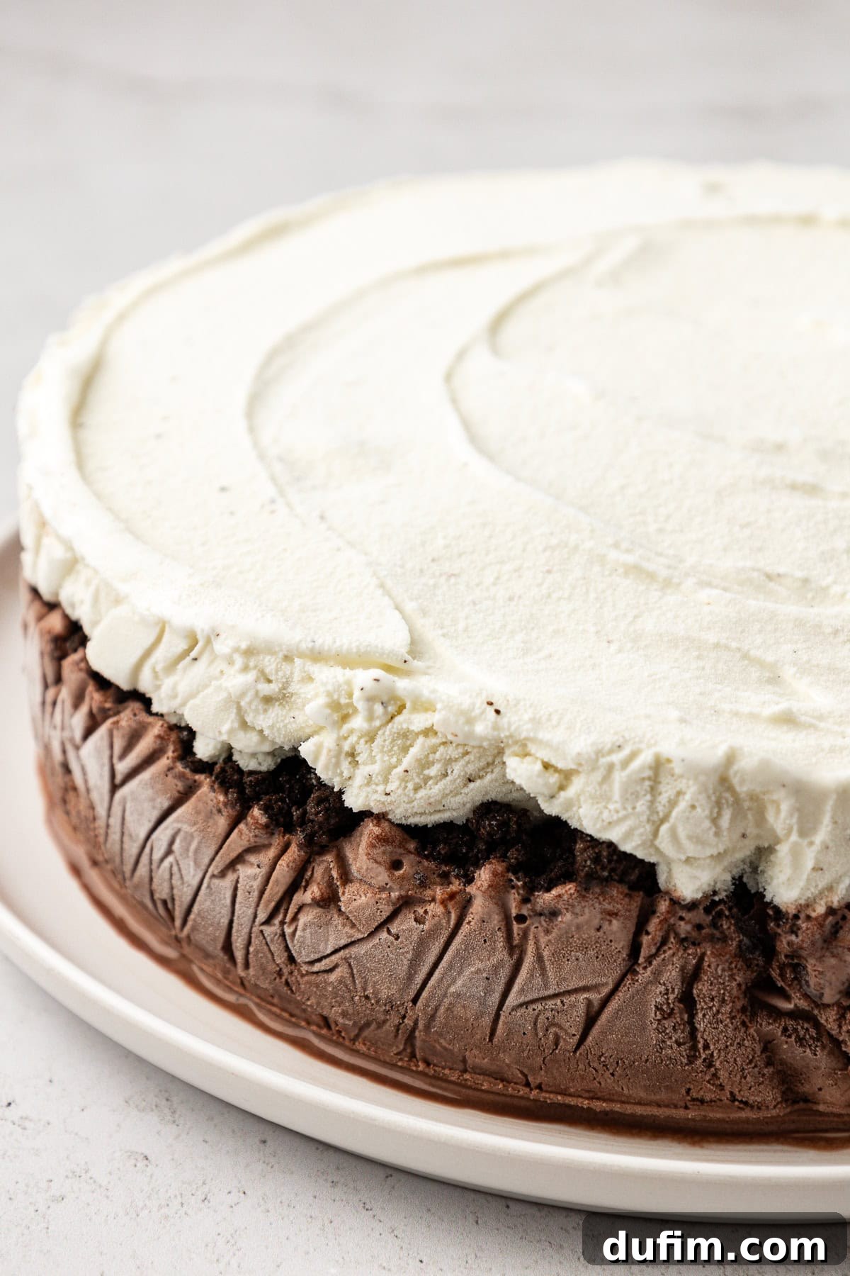 A side view of a delectable ice cream cake showing its distinct chocolate and vanilla layers, resting on a white plate.