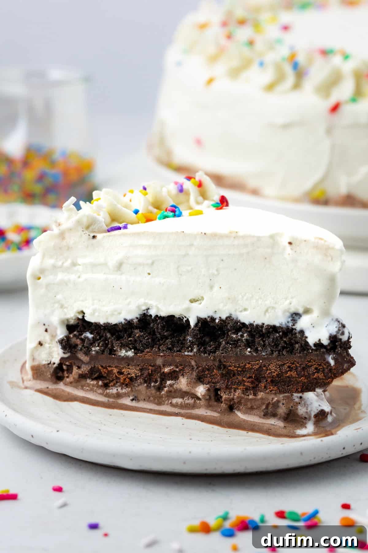 A perfectly sliced piece of ice cream cake stands proudly on a white plate, surrounded by scattered sprinkles, with the remaining cake visible in the background.