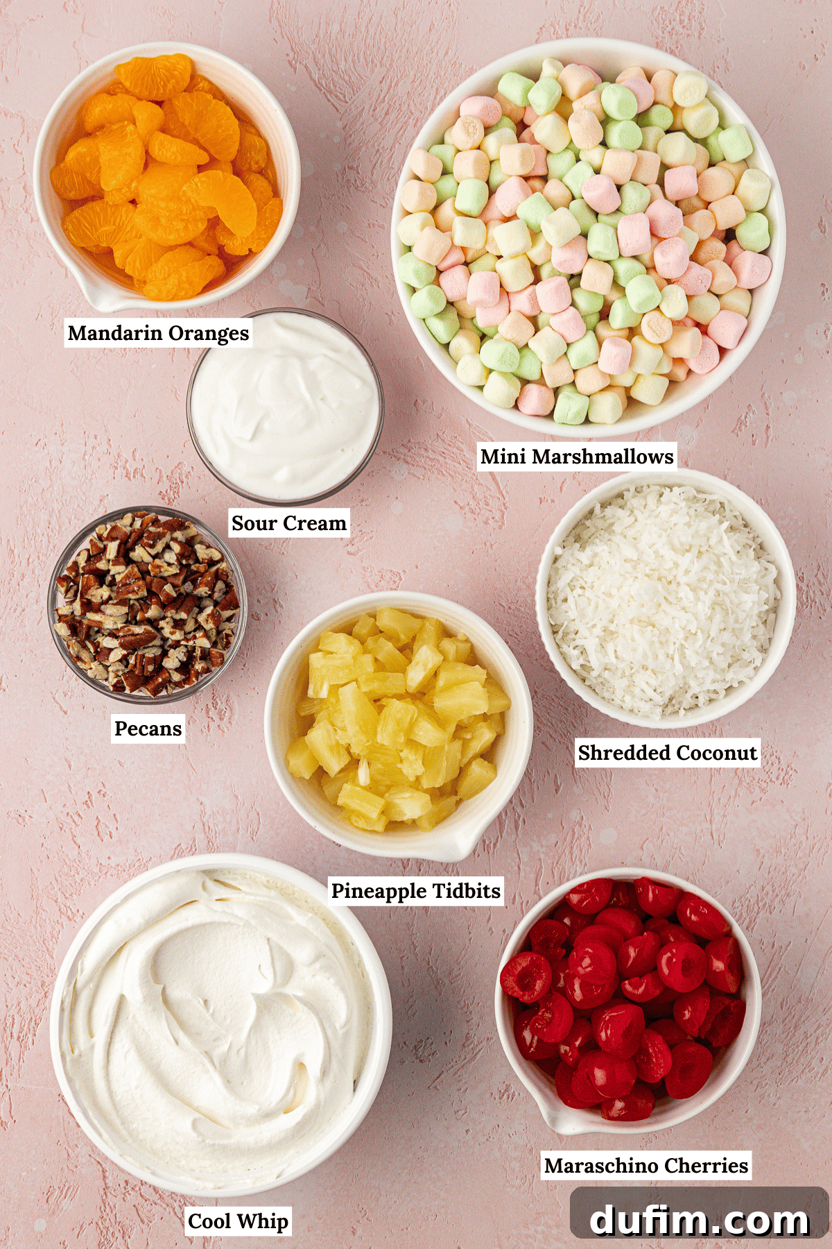 Grandma's Favorite Ambrosia Salad 5 An overhead shot showcasing all the fresh and canned ingredients meticulously laid out for Ambrosia Salad: bright mandarin oranges, a container of creamy sour cream, a bag of fluffy mini marshmallows, a bowl of perfectly chopped pecans, a can of sweet pineapple tidbits, a bag of fragrant shredded coconut, a tub of light cool whip, and a jar of glistening maraschino cherries – everything needed for a perfect batch.