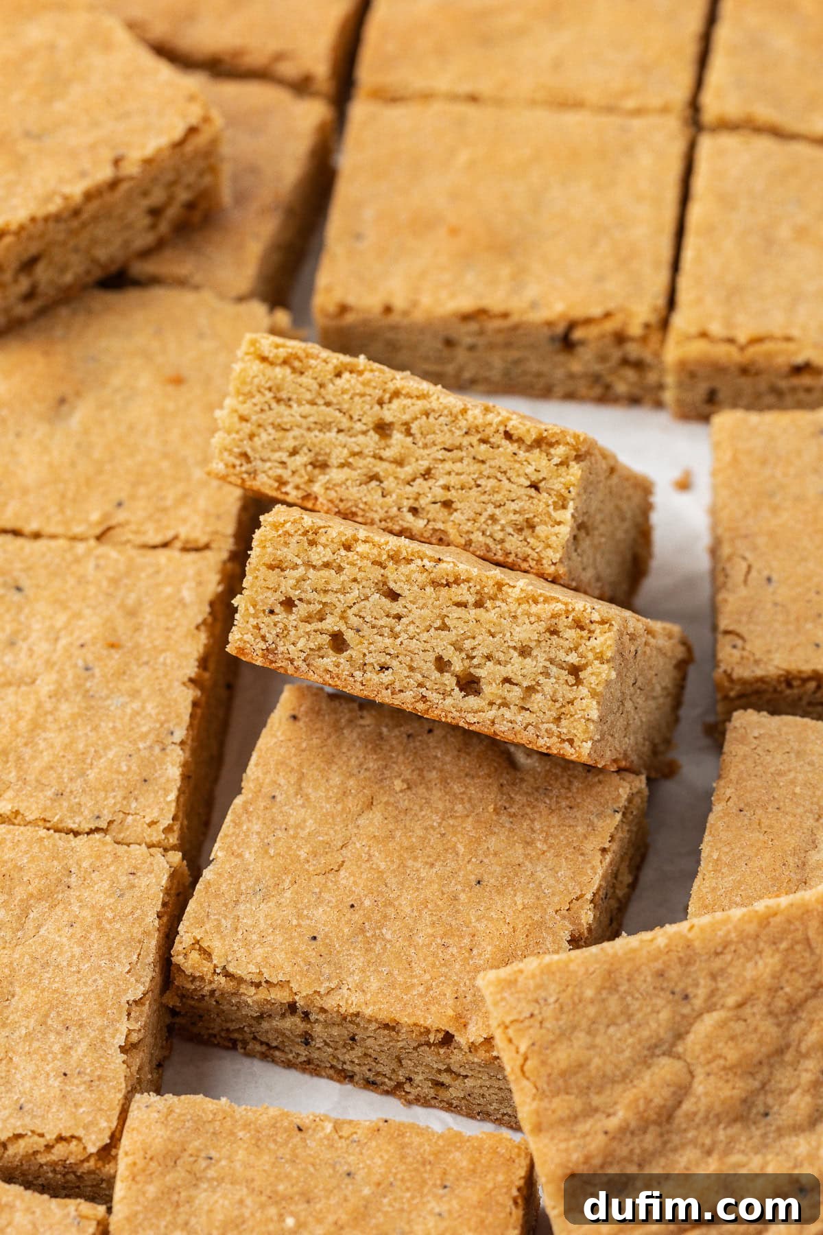 Golden Blondie Bars 2 Perfectly baked blondies arranged in rows and scattered, with two blondies leaning against each other to showcase their soft, chewy interior.