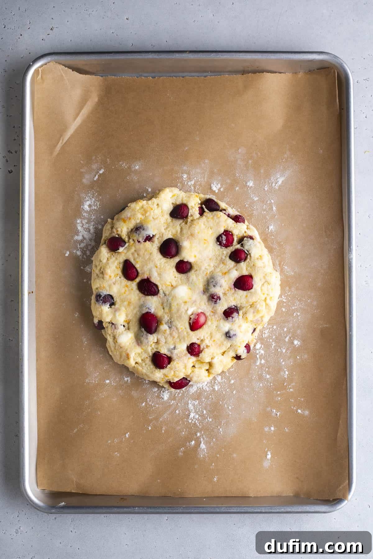 Zesty Cranberry Orange Scones 13 A perfectly round, raw scone dough, generously studded with visible cranberries, is positioned on a parchment-lined baking sheet. The dough disc is lightly dusted with flour, showcasing its readiness for chilling and cutting. The tray rests on a gray surface.