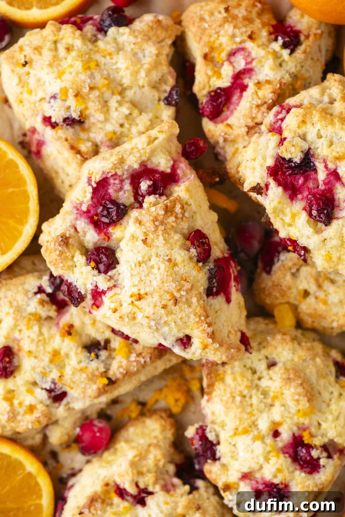Zesty Cranberry Orange Scones 17 Close-up of freshly baked cranberry orange scones with a delicate sprinkle of sugar on top. The scones are a beautiful golden-brown and are nestled amongst vibrant slices of fresh oranges, adding a lively and colorful contrast to the warm baked goods. A few whole cranberries complete the inviting presentation.