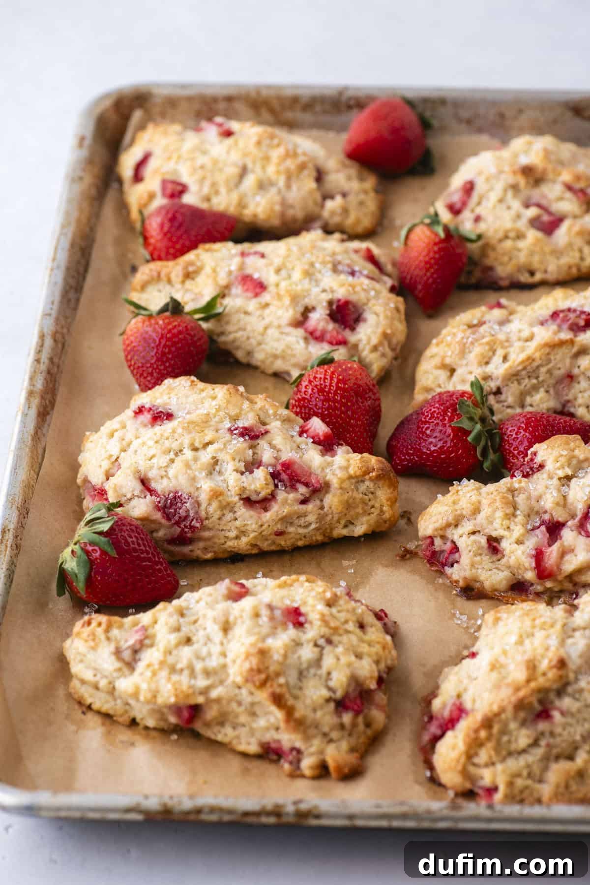 Juicy Strawberry Scones 4 A baking tray with parchment paper holds several freshly baked scones filled with pieces of strawberries. Whole strawberries are scattered around the scones, adding color to the scene.