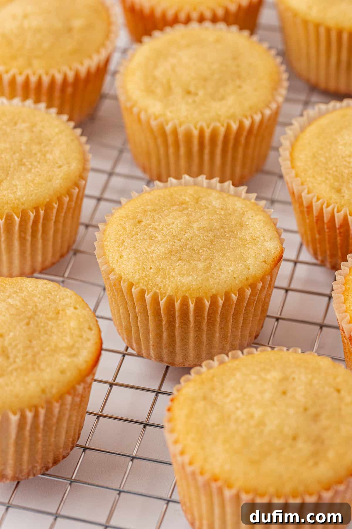 Several plain vanilla cupcakes in paper liners are cooling on a wire rack, viewed from above. The cupcakes are golden brown and appear soft and fluffy.