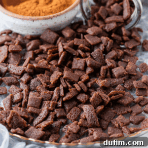 A close-up of homemade cinnamon chips generously spread on a plate, with a bowl of cinnamon powder in the background. The chips appear crunchy and are coated with a rich, brown, sugary cinnamon mixture, inviting bakers to taste.