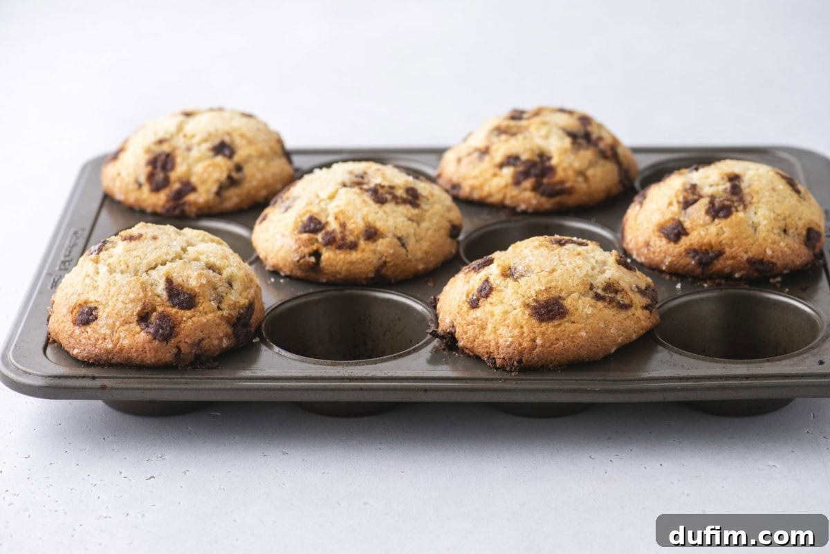 Spiced Cinnamon Chip Muffins 15 A muffin tray with six golden-brown cinnamon chip muffins, fresh out of the oven, with two empty spaces in the tray, on a light background.