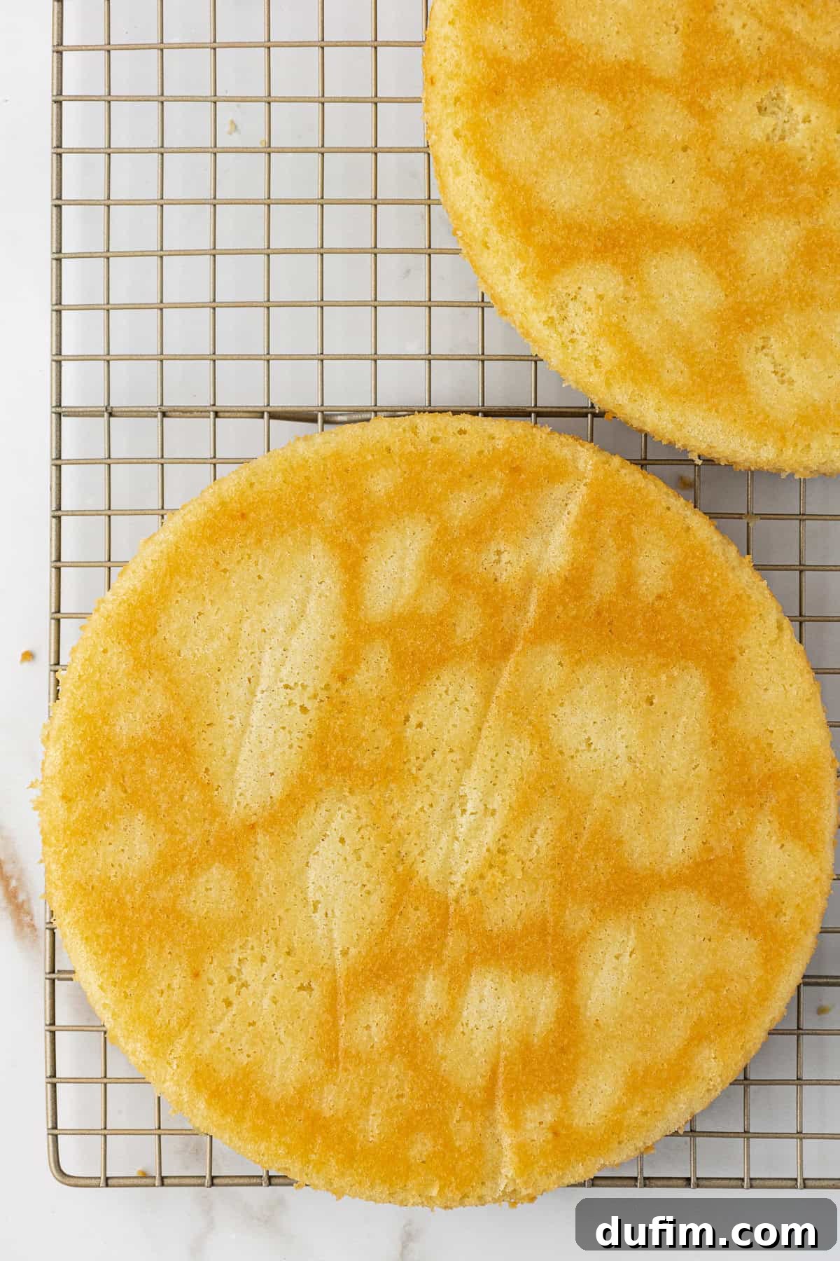 Two perfectly round, golden sponge cake layers are gently cooling on a metal wire rack. Their light, airy texture is visible on the surfaces, presented side by side against a clean white background.