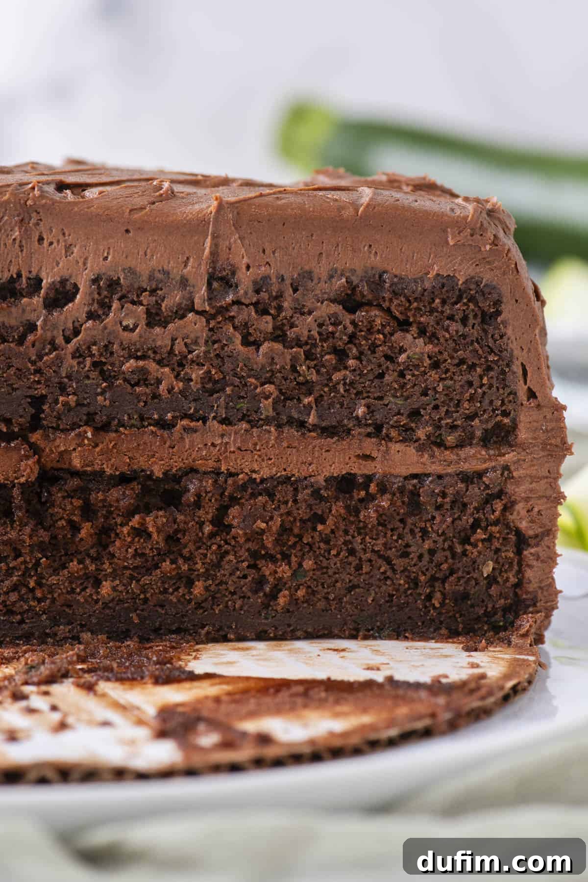 A close-up of a chocolate layer cake with chocolate frosting, showing a slice removed to reveal the moist texture inside. The background is blurred with hints of green.