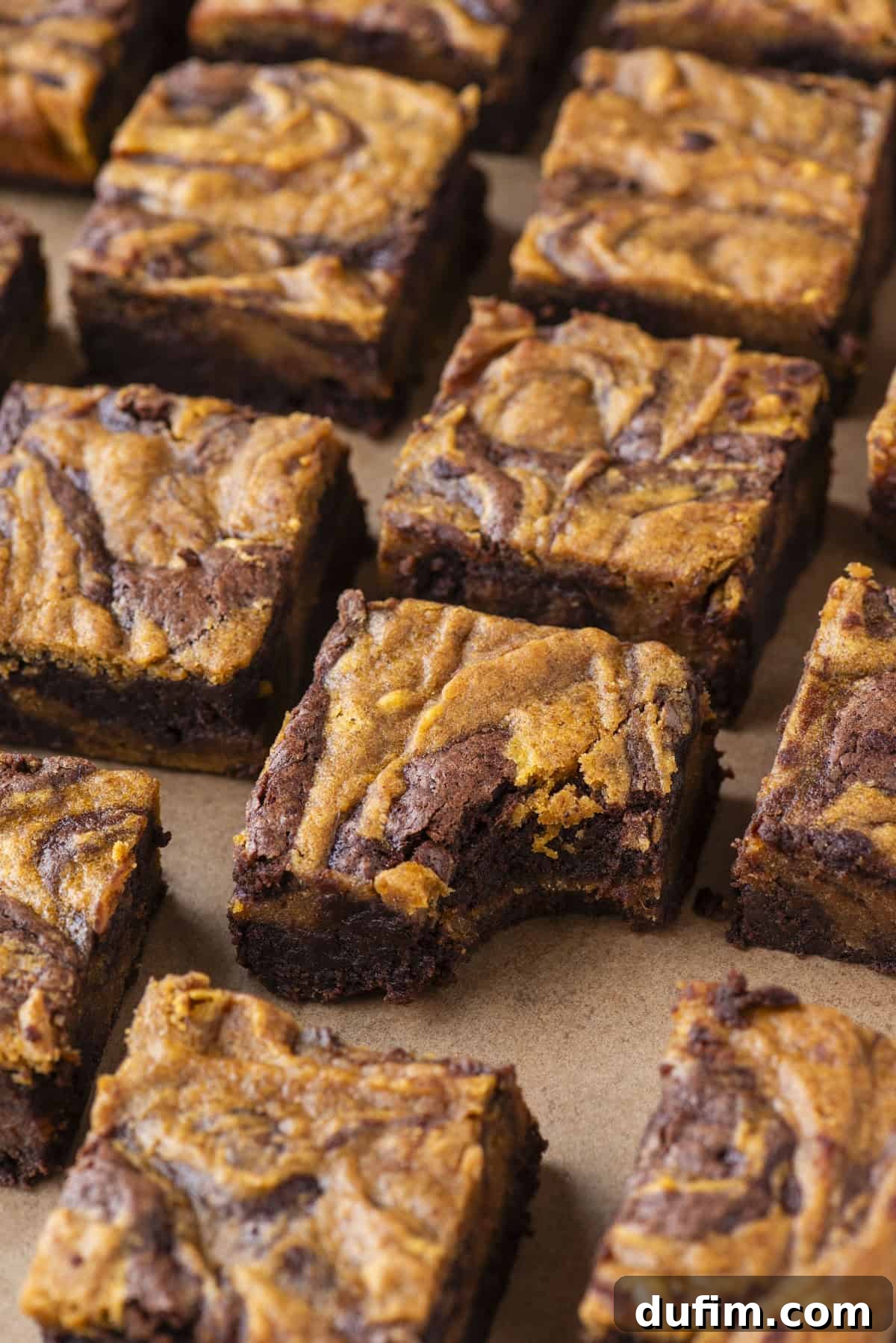 Pumpkin Ripple Fudge Brownies 17 Several pumpkin swirl brownies are arranged enticingly on parchment paper. The brownies feature a striking marbled pattern of dark chocolate and vibrant orange pumpkin, with one brownie showing a satisfying bite taken out of it.