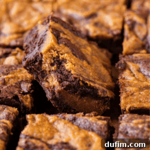 Pumpkin Ripple Fudge Brownies 20 Close-up of several fudgy chocolate brownies swirled with a golden brown peanut butter layer, with one brownie positioned at an angle above the others. (Note: original alt text mentioned peanut butter, corrected here to pumpkin/chocolate)
