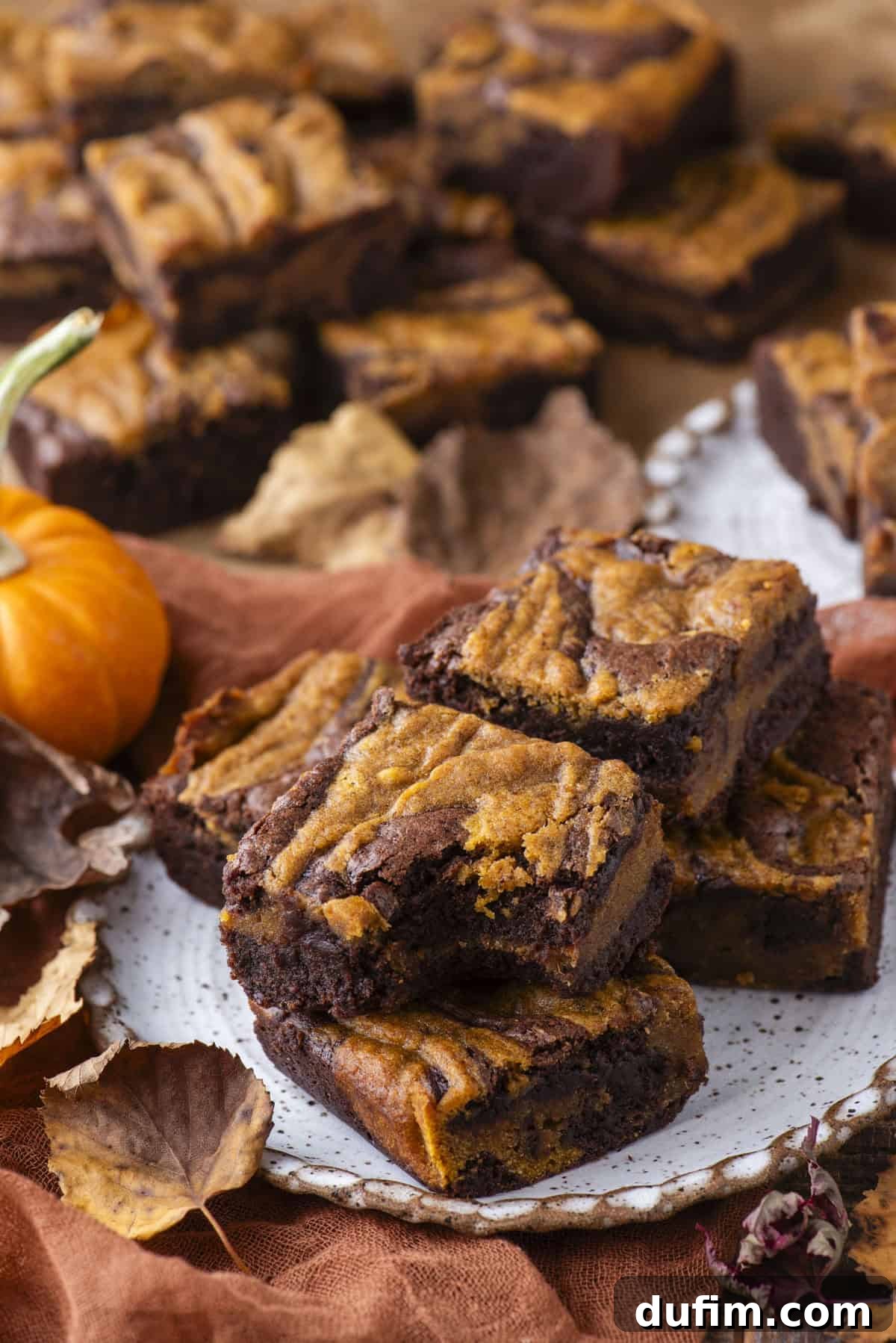 Pumpkin Ripple Fudge Brownies 3 A plate of pumpkin swirl brownies sits on a brown cloth, surrounded by scattered autumn leaves and a small pumpkin, with more brownies in the background. The brownies feature a marbled orange and chocolate pattern, showcasing their enticing blend of flavors.
