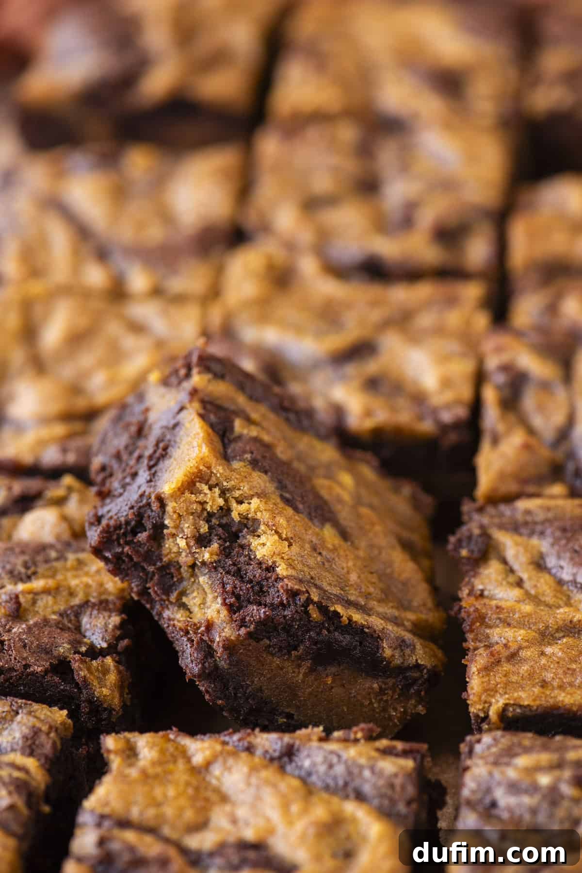 Pumpkin Ripple Fudge Brownies 4 Close-up of several square brownies with a distinct marbled chocolate and orange pumpkin swirl pattern, highlighting their rich, fudgy texture and glossy tops. One brownie is slightly elevated, drawing attention to its inviting layers.